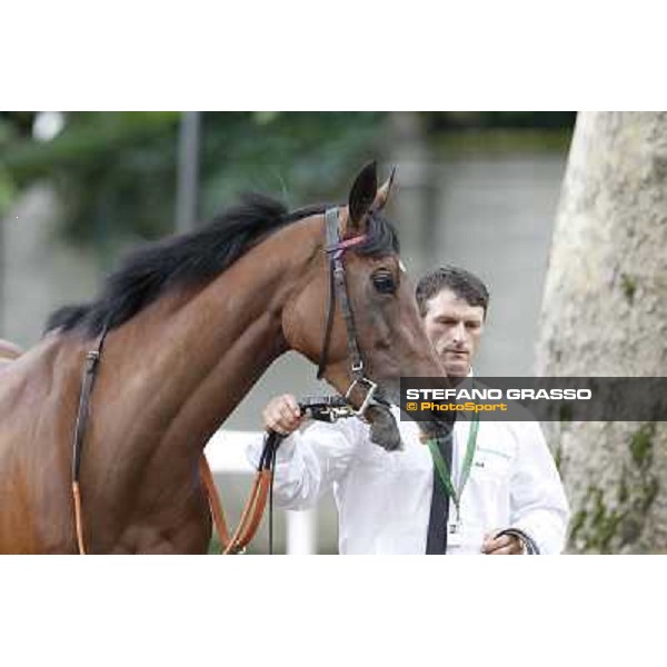 Quiza Quiza Quiza Gran Premio di Milano - Trofeo Snai Milano - San Siro galopp racecourse,10th june 2012 ph.Stefano Grasso