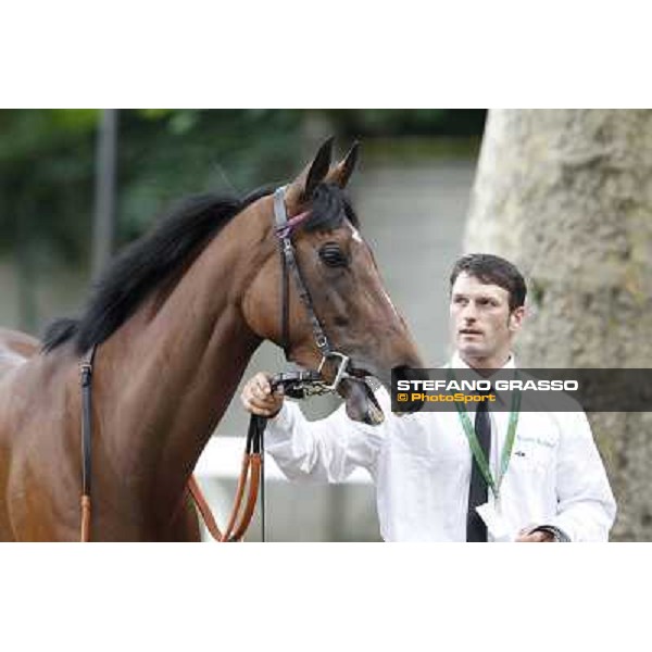 Quiza Quiza Quiza Gran Premio di Milano - Trofeo Snai Milano - San Siro galopp racecourse,10th june 2012 ph.Stefano Grasso