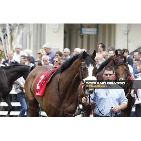 Earl of Tinsdal Gran Premio di Milano - Trofeo Snai Milano - San Siro galopp racecourse,10th june 2012 ph.Stefano Grasso