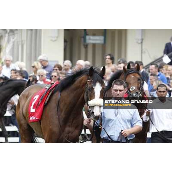 Earl of Tinsdal Gran Premio di Milano - Trofeo Snai Milano - San Siro galopp racecourse,10th june 2012 ph.Stefano Grasso