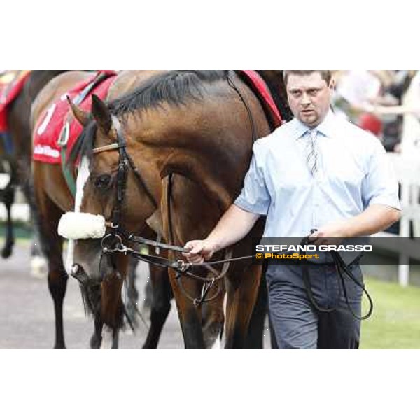 Earl of Tinsdal Gran Premio di Milano - Trofeo Snai Milano - San Siro galopp racecourse,10th june 2012 ph.Stefano Grasso