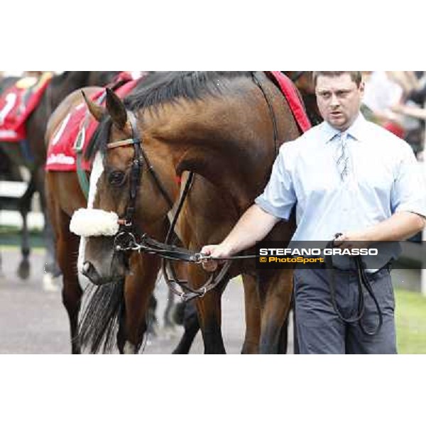 Earl of Tinsdal Gran Premio di Milano - Trofeo Snai Milano - San Siro galopp racecourse,10th june 2012 ph.Stefano Grasso