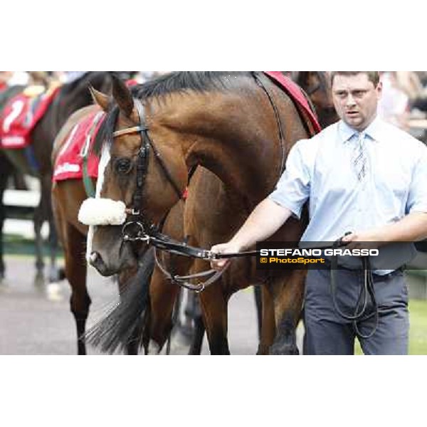 Earl of Tinsdal Gran Premio di Milano - Trofeo Snai Milano - San Siro galopp racecourse,10th june 2012 ph.Stefano Grasso