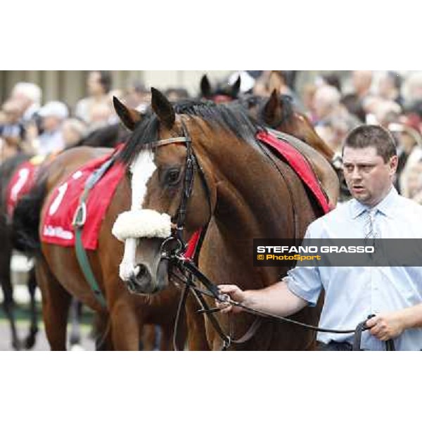 Earl of Tinsdal Gran Premio di Milano - Trofeo Snai Milano - San Siro galopp racecourse,10th june 2012 ph.Stefano Grasso