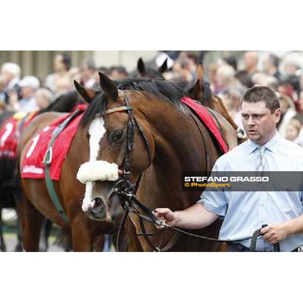 Earl of Tinsdal Gran Premio di Milano - Trofeo Snai Milano - San Siro galopp racecourse,10th june 2012 ph.Stefano Grasso