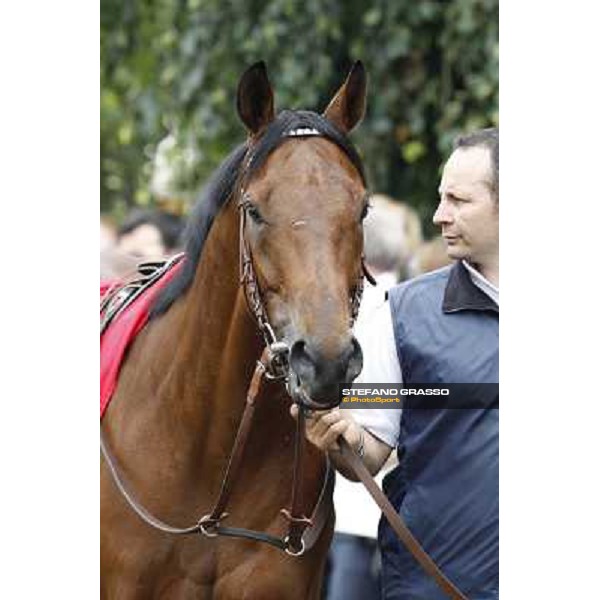 Frankenstein Gran Premio di Milano - Trofeo Snai Milano - San Siro galopp racecourse,10th june 2012 ph.Stefano Grasso