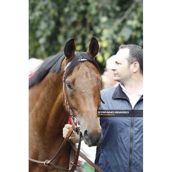 Frankenstein Gran Premio di Milano - Trofeo Snai Milano - San Siro galopp racecourse,10th june 2012 ph.Stefano Grasso