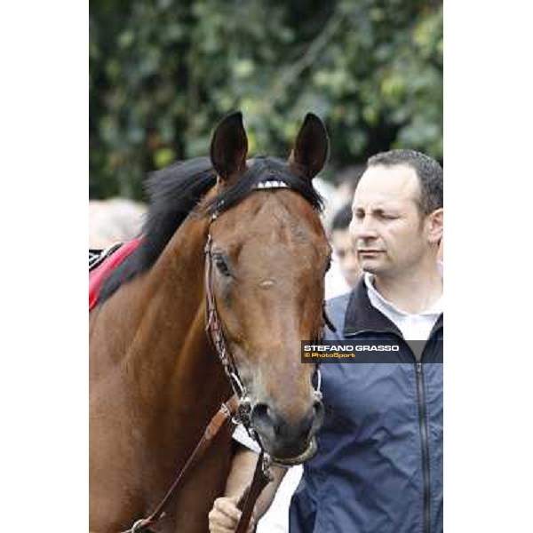 Frankenstein Gran Premio di Milano - Trofeo Snai Milano - San Siro galopp racecourse,10th june 2012 ph.Stefano Grasso