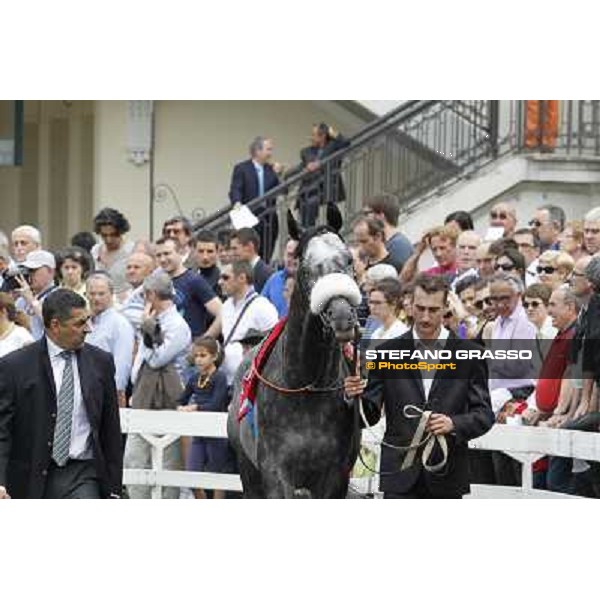 Vadamar Gran Premio di Milano - Trofeo Snai Milano - San Siro galopp racecourse,10th june 2012 ph.Stefano Grasso