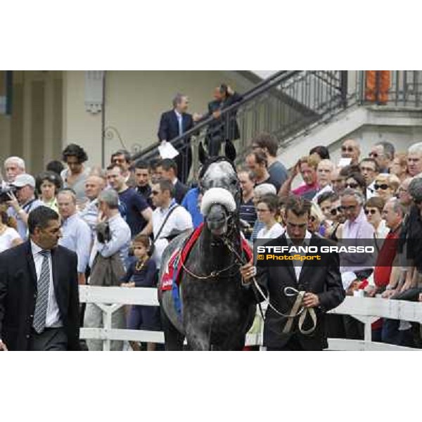 Vadamar Gran Premio di Milano - Trofeo Snai Milano - San Siro galopp racecourse,10th june 2012 ph.Stefano Grasso