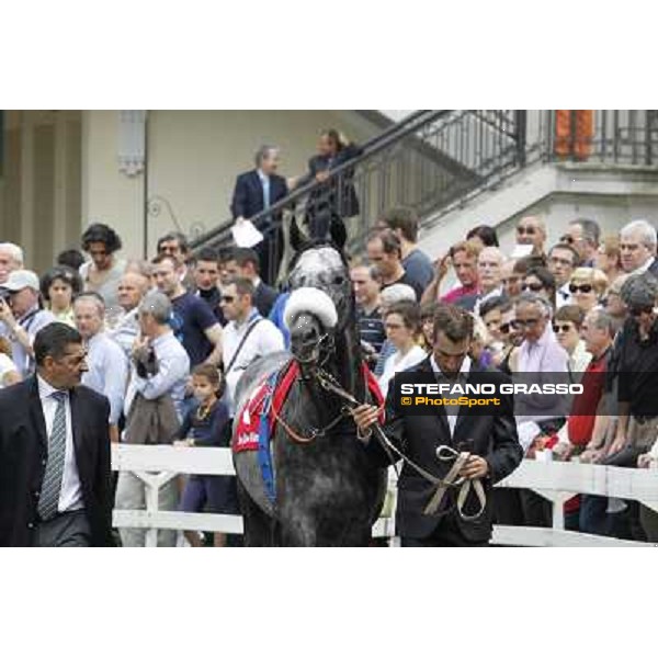 Vadamar Gran Premio di Milano - Trofeo Snai Milano - San Siro galopp racecourse,10th june 2012 ph.Stefano Grasso