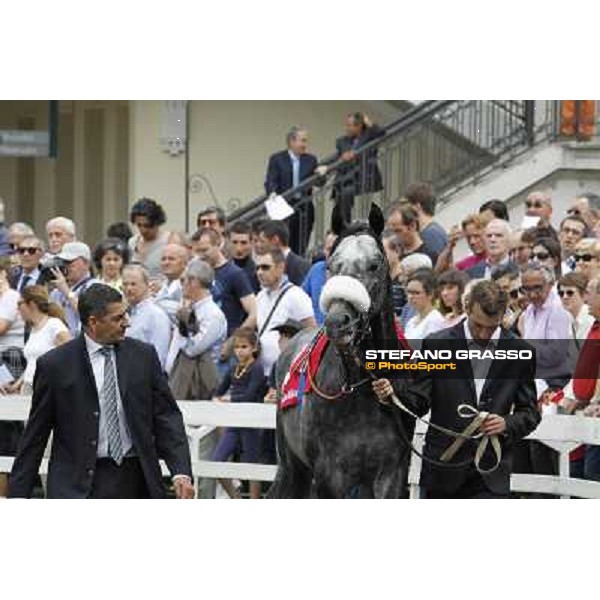 Vadamar Gran Premio di Milano - Trofeo Snai Milano - San Siro galopp racecourse,10th june 2012 ph.Stefano Grasso