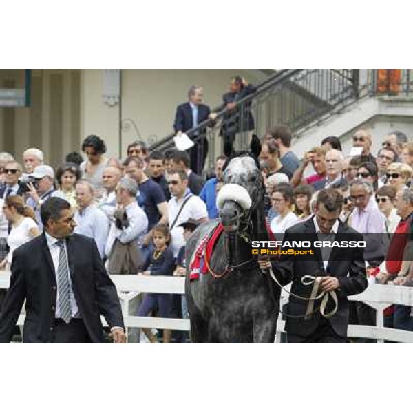 Vadamar Gran Premio di Milano - Trofeo Snai Milano - San Siro galopp racecourse,10th june 2012 ph.Stefano Grasso