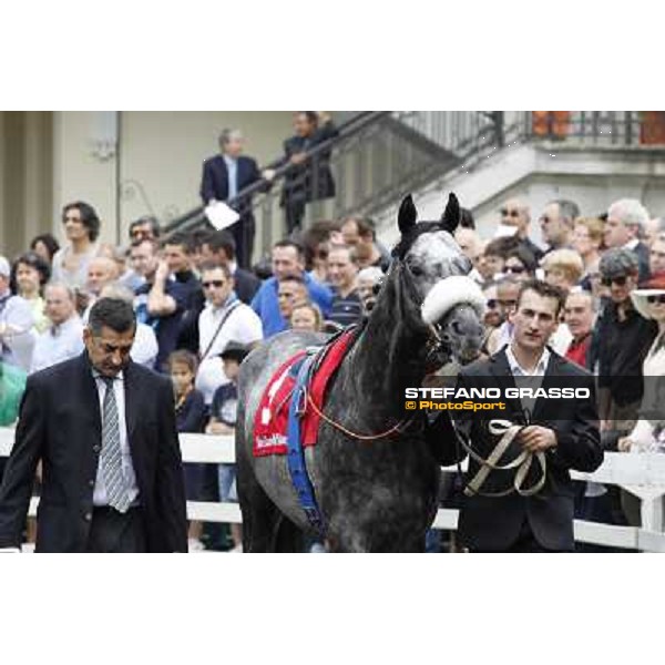 Vadamar Gran Premio di Milano - Trofeo Snai Milano - San Siro galopp racecourse,10th june 2012 ph.Stefano Grasso