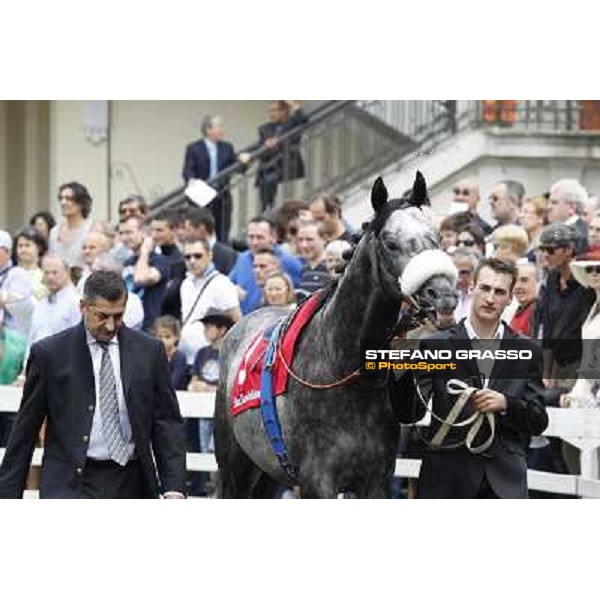 Vadamar Gran Premio di Milano - Trofeo Snai Milano - San Siro galopp racecourse,10th june 2012 ph.Stefano Grasso