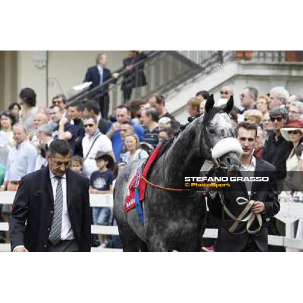 Vadamar Gran Premio di Milano - Trofeo Snai Milano - San Siro galopp racecourse,10th june 2012 ph.Stefano Grasso