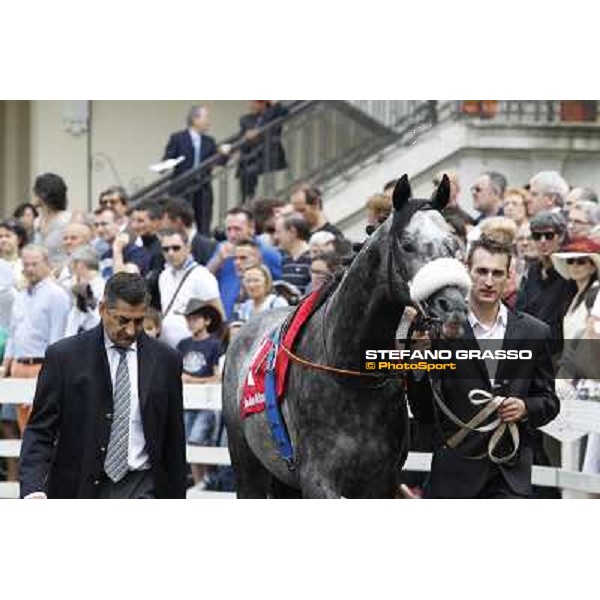 Vadamar Gran Premio di Milano - Trofeo Snai Milano - San Siro galopp racecourse,10th june 2012 ph.Stefano Grasso