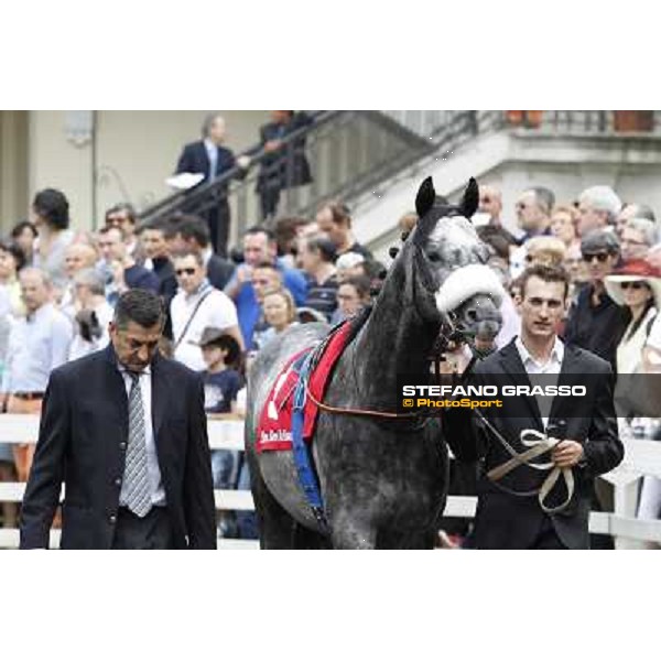 Vadamar Gran Premio di Milano - Trofeo Snai Milano - San Siro galopp racecourse,10th june 2012 ph.Stefano Grasso