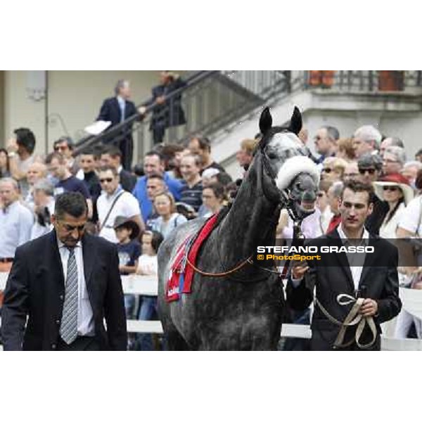 Vadamar Gran Premio di Milano - Trofeo Snai Milano - San Siro galopp racecourse,10th june 2012 ph.Stefano Grasso