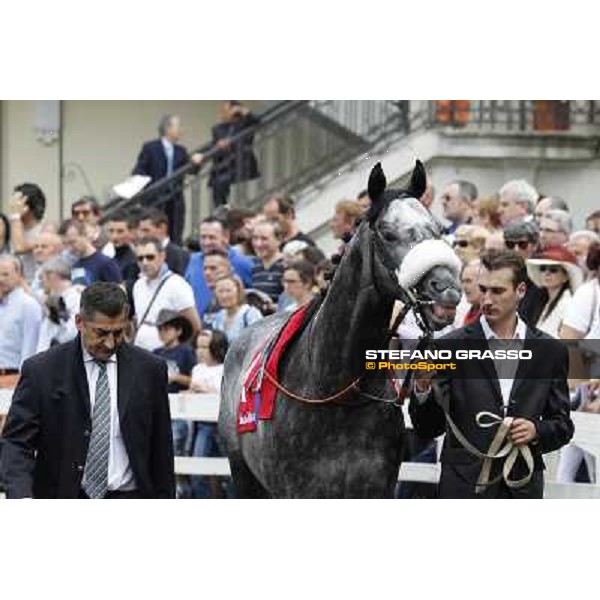 Vadamar Gran Premio di Milano - Trofeo Snai Milano - San Siro galopp racecourse,10th june 2012 ph.Stefano Grasso