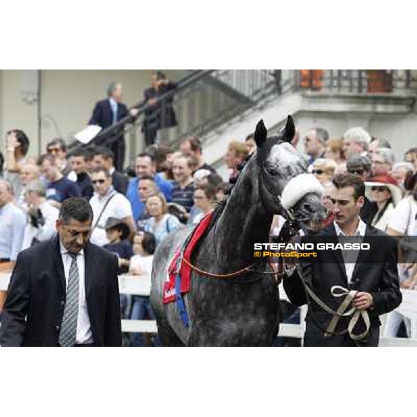 Vadamar Gran Premio di Milano - Trofeo Snai Milano - San Siro galopp racecourse,10th june 2012 ph.Stefano Grasso