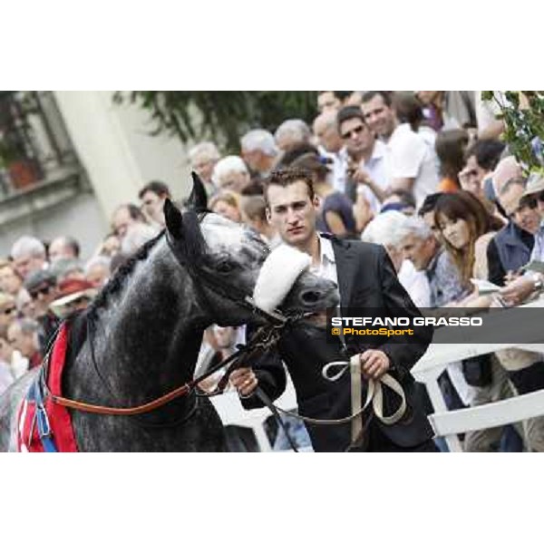 Vadamar Gran Premio di Milano - Trofeo Snai Milano - San Siro galopp racecourse,10th june 2012 ph.Stefano Grasso