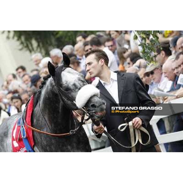 Vadamar Gran Premio di Milano - Trofeo Snai Milano - San Siro galopp racecourse,10th june 2012 ph.Stefano Grasso