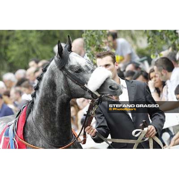 Vadamar Gran Premio di Milano - Trofeo Snai Milano - San Siro galopp racecourse,10th june 2012 ph.Stefano Grasso