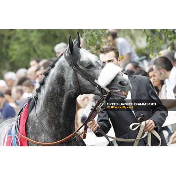 Vadamar Gran Premio di Milano - Trofeo Snai Milano - San Siro galopp racecourse,10th june 2012 ph.Stefano Grasso