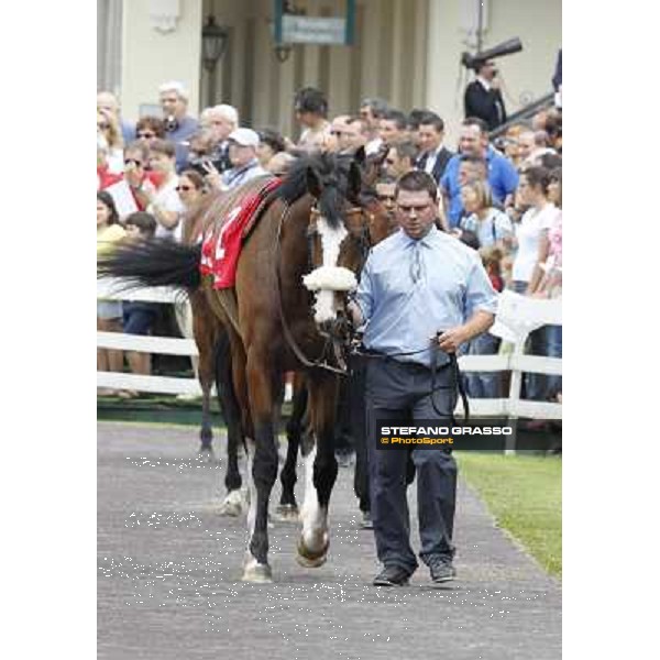 Earl of Tinsdal Gran Premio di Milano - Trofeo Snai Milano - San Siro galopp racecourse,10th june 2012 ph.Stefano Grasso