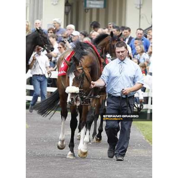 Earl of Tinsdal Gran Premio di Milano - Trofeo Snai Milano - San Siro galopp racecourse,10th june 2012 ph.Stefano Grasso