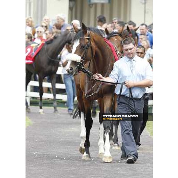 Earl of Tinsdal Gran Premio di Milano - Trofeo Snai Milano - San Siro galopp racecourse,10th june 2012 ph.Stefano Grasso