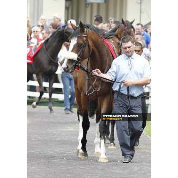 Earl of Tinsdal Gran Premio di Milano - Trofeo Snai Milano - San Siro galopp racecourse,10th june 2012 ph.Stefano Grasso