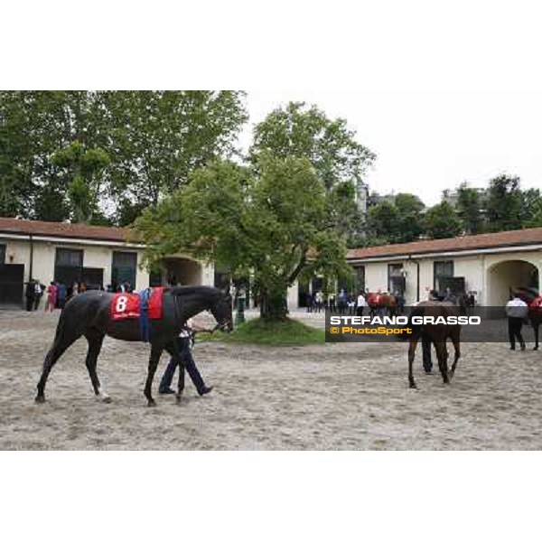 Sopran Montieri Gran Premio di Milano - Trofeo Snai Milano - San Siro galopp racecourse,10th june 2012 ph.Stefano Grasso