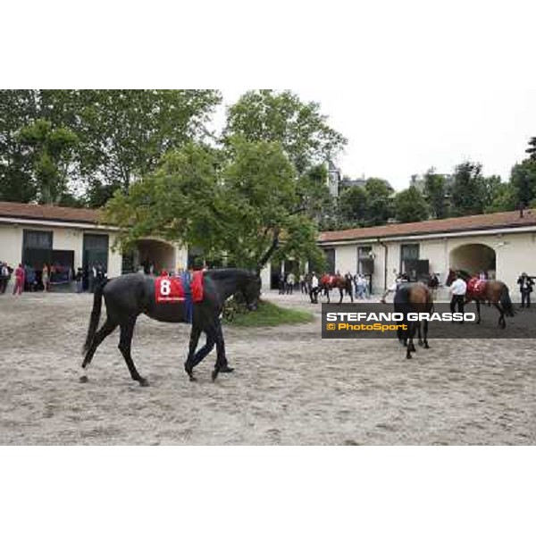 Sopran Montieri Gran Premio di Milano - Trofeo Snai Milano - San Siro galopp racecourse,10th june 2012 ph.Stefano Grasso