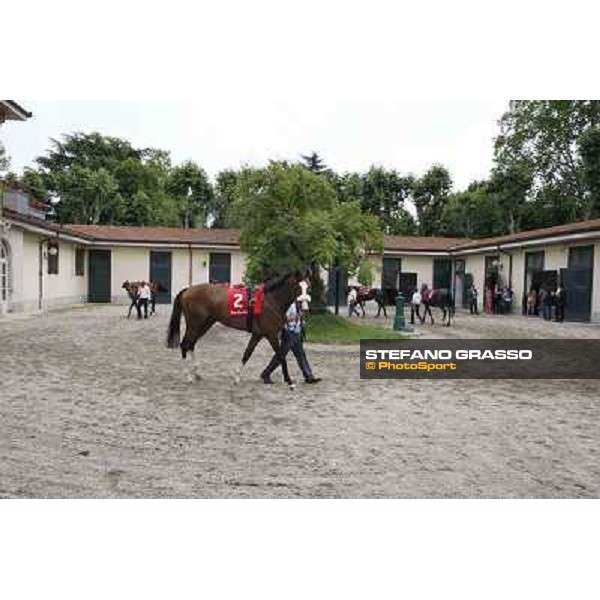 Earl of Tinsdal Gran Premio di Milano - Trofeo Snai Milano - San Siro galopp racecourse,10th june 2012 ph.Stefano Grasso