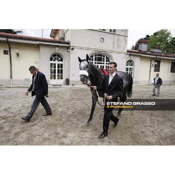 Vadamar Gran Premio di Milano - Trofeo Snai Milano - San Siro galopp racecourse,10th june 2012 ph.Stefano Grasso