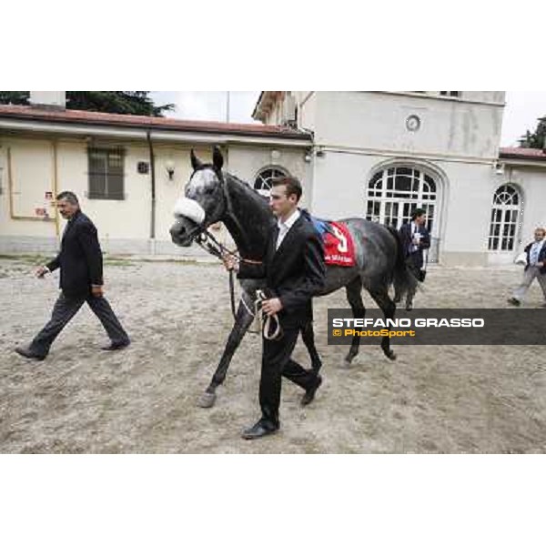 Vadamar Gran Premio di Milano - Trofeo Snai Milano - San Siro galopp racecourse,10th june 2012 ph.Stefano Grasso