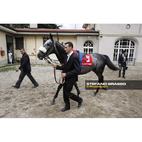 Vadamar Gran Premio di Milano - Trofeo Snai Milano - San Siro galopp racecourse,10th june 2012 ph.Stefano Grasso