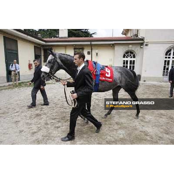 Vadamar Gran Premio di Milano - Trofeo Snai Milano - San Siro galopp racecourse,10th june 2012 ph.Stefano Grasso