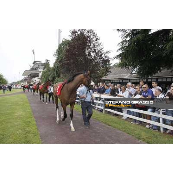 Vadamar Gran Premio di Milano - Trofeo Snai Milano - San Siro galopp racecourse,10th june 2012 ph.Stefano Grasso