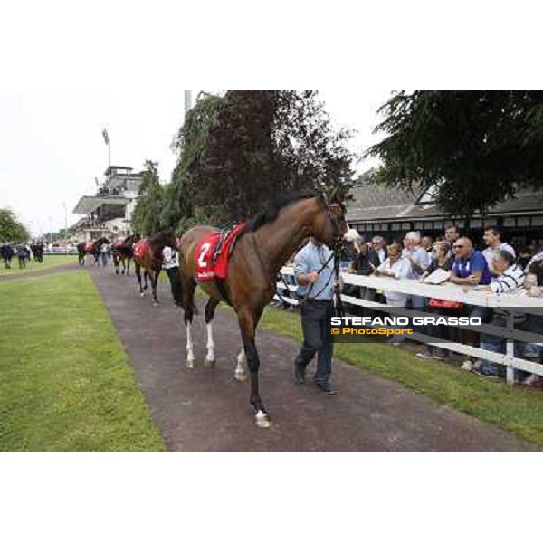 Vadamar Gran Premio di Milano - Trofeo Snai Milano - San Siro galopp racecourse,10th june 2012 ph.Stefano Grasso