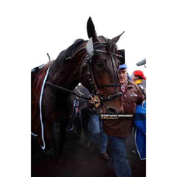 close up for Jag de Bellouet after the race PAris Vincennes, 30th january 2005 ph. Stefano Grasso