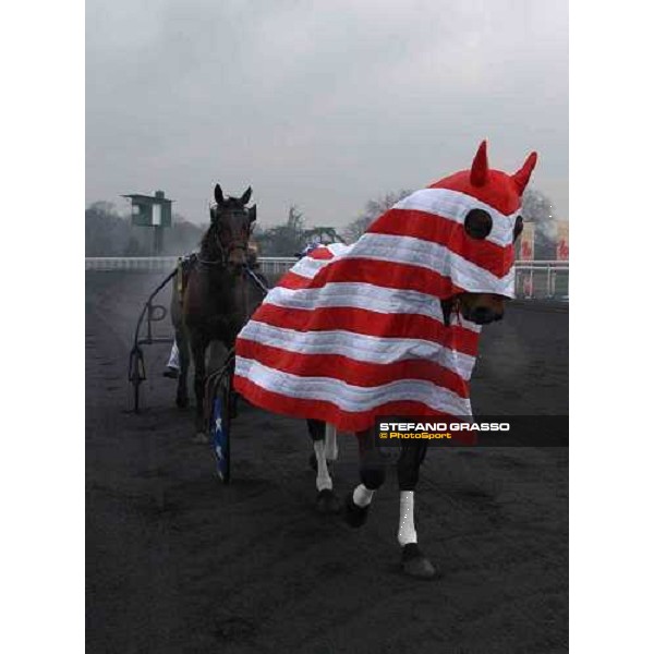 Jag de Bellouet after the triumph PAris Vincennes, 30th january 2005 ph. Stefano Grasso