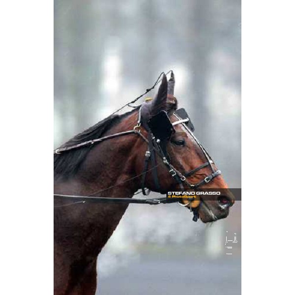 close up for Jag de Bellouet before the start PAris Vincennes, 30th january 2005 ph. Stefano Grasso