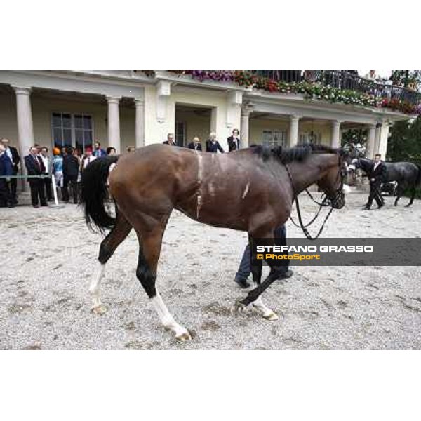 Earl of Tinsdal returns home after the triumph in the Gran Premio di Milano - Trofeo Snai Milano - San Siro galopp racecourse,10th june 2012 ph.Stefano Grasso