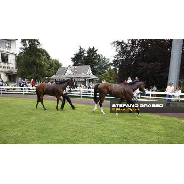 Earl of Tinsdal, folioed by Quiza Quiza Quiza, returns home after the triumph in the Gran Premio di Milano - Trofeo Snai Milano - San Siro galopp racecourse,10th june 2012 ph.Stefano Grasso