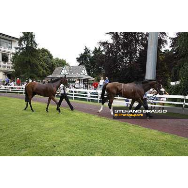 Earl of Tinsdal, folioed by Quiza Quiza Quiza, returns home after the triumph in the Gran Premio di Milano - Trofeo Snai Milano - San Siro galopp racecourse,10th june 2012 ph.Stefano Grasso