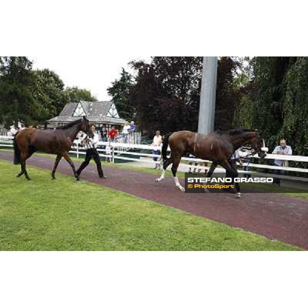 Earl of Tinsdal, folioed by Quiza Quiza Quiza, returns home after the triumph in the Gran Premio di Milano - Trofeo Snai Milano - San Siro galopp racecourse,10th june 2012 ph.Stefano Grasso