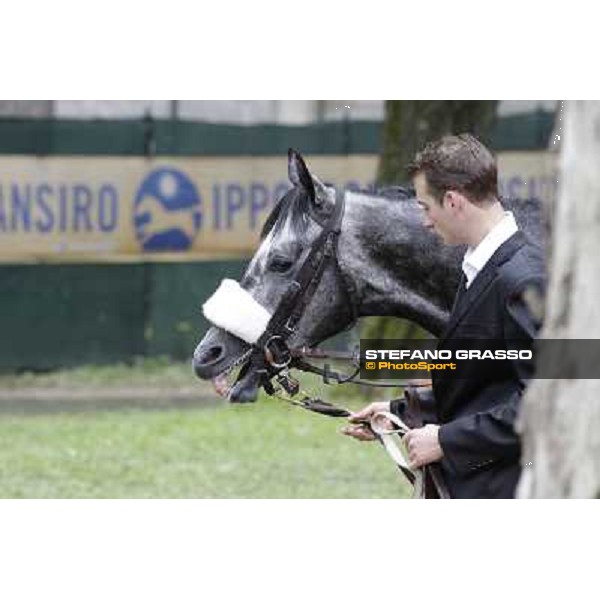 Vadamar Gran Premio di Milano - Trofeo Snai Milano - San Siro galopp racecourse,10th june 2012 ph.Stefano Grasso